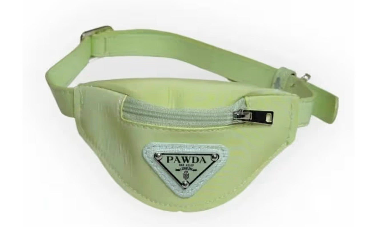 Pawda green dog purse