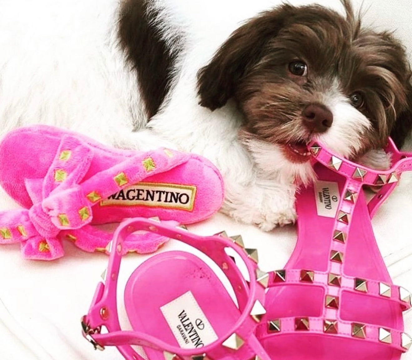 Wagentino Sandal Dog Toy