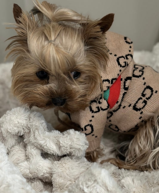 Designer dog apparel grrruci