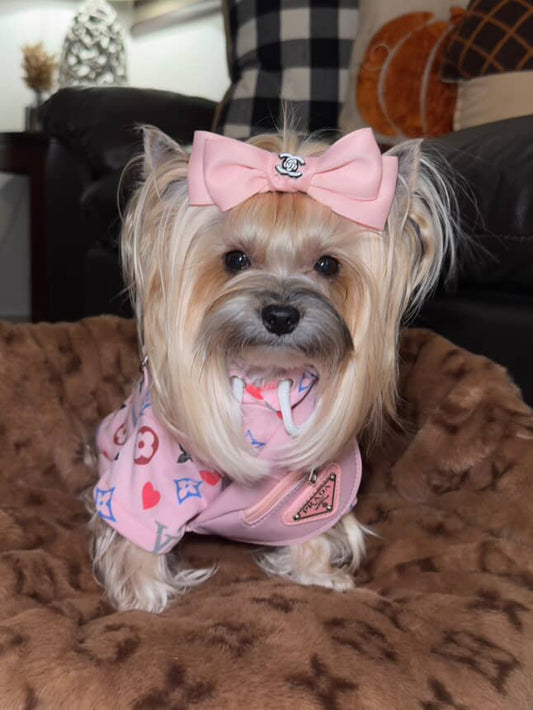 designer dog clothes and accessories