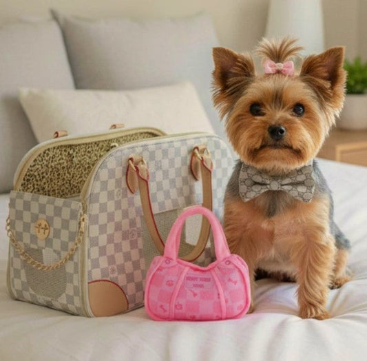 Tiny Paws Fashion: Where Luxury Meets Your Pup’s Wardrobe