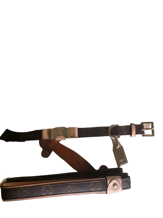 Luxury Dog Collar with Leash Set