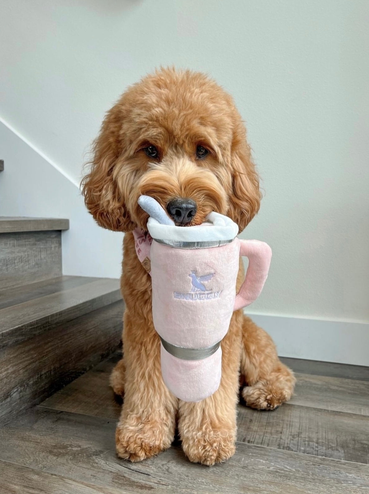 Blush Snuggly Cup Dog Toy