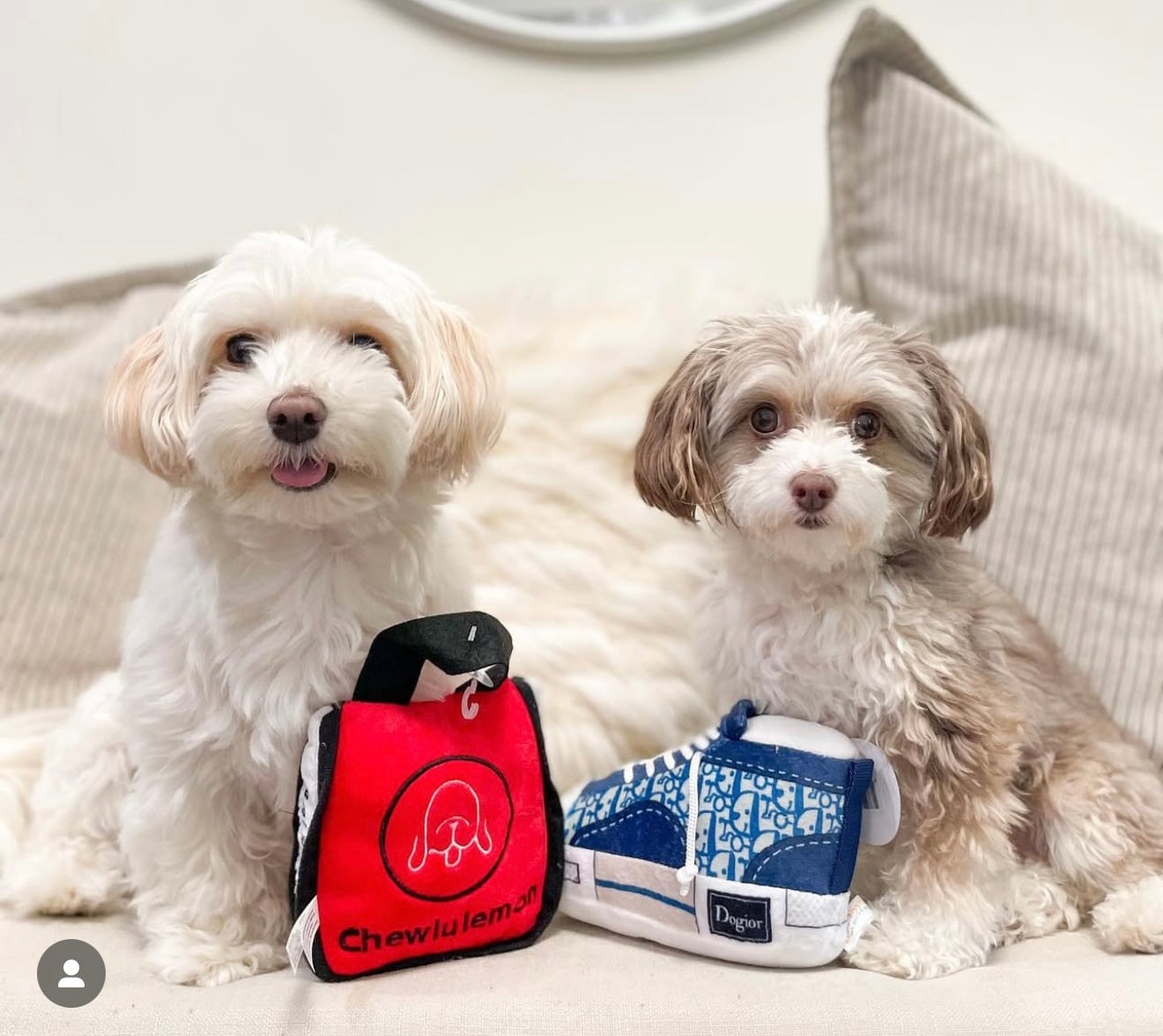 Chewlulemon Bag Dog squeaker toy