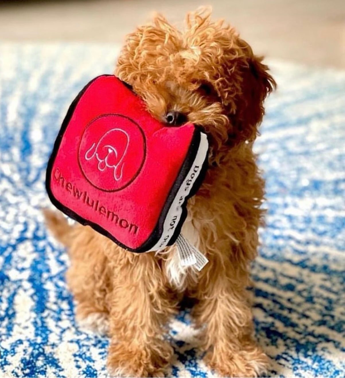 Chewlulemon Bag Dog squeaker toy