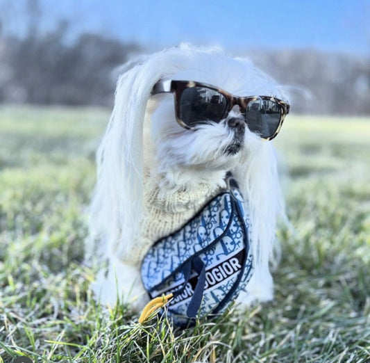 Dogior Saddle Bag Dog Toy