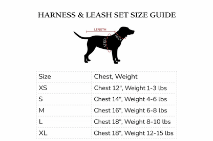 Grrruci Fabric Harness and Leash Set