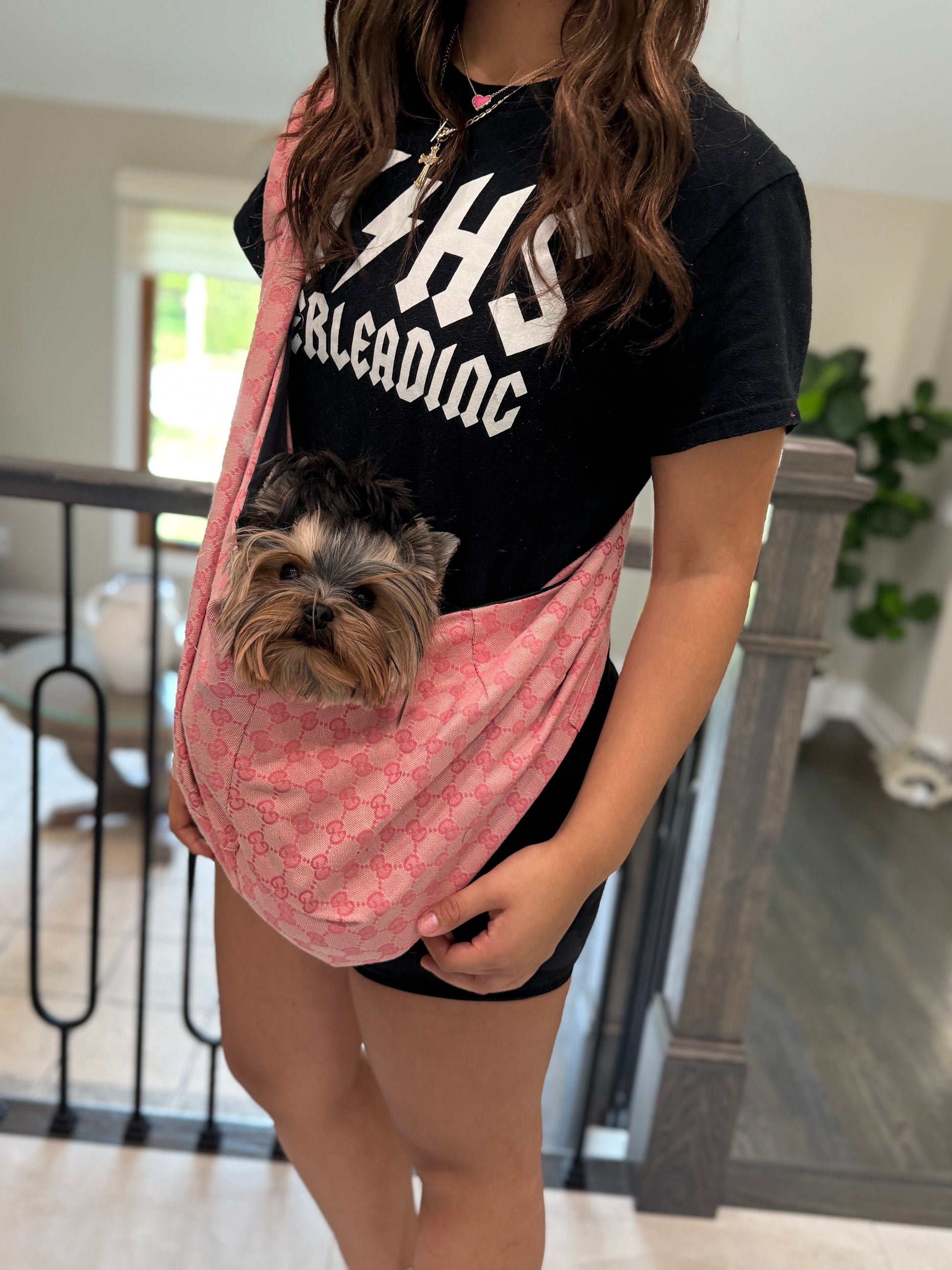 Pink chewy Vuiton dog Sling Carrier