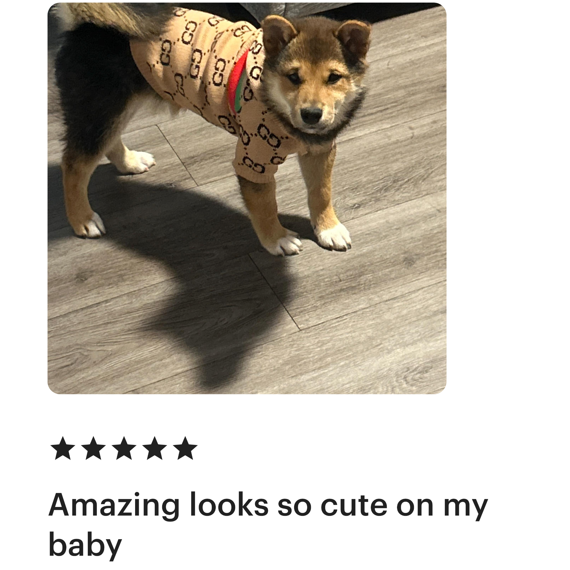 Poshable puppies Chicago boutique review