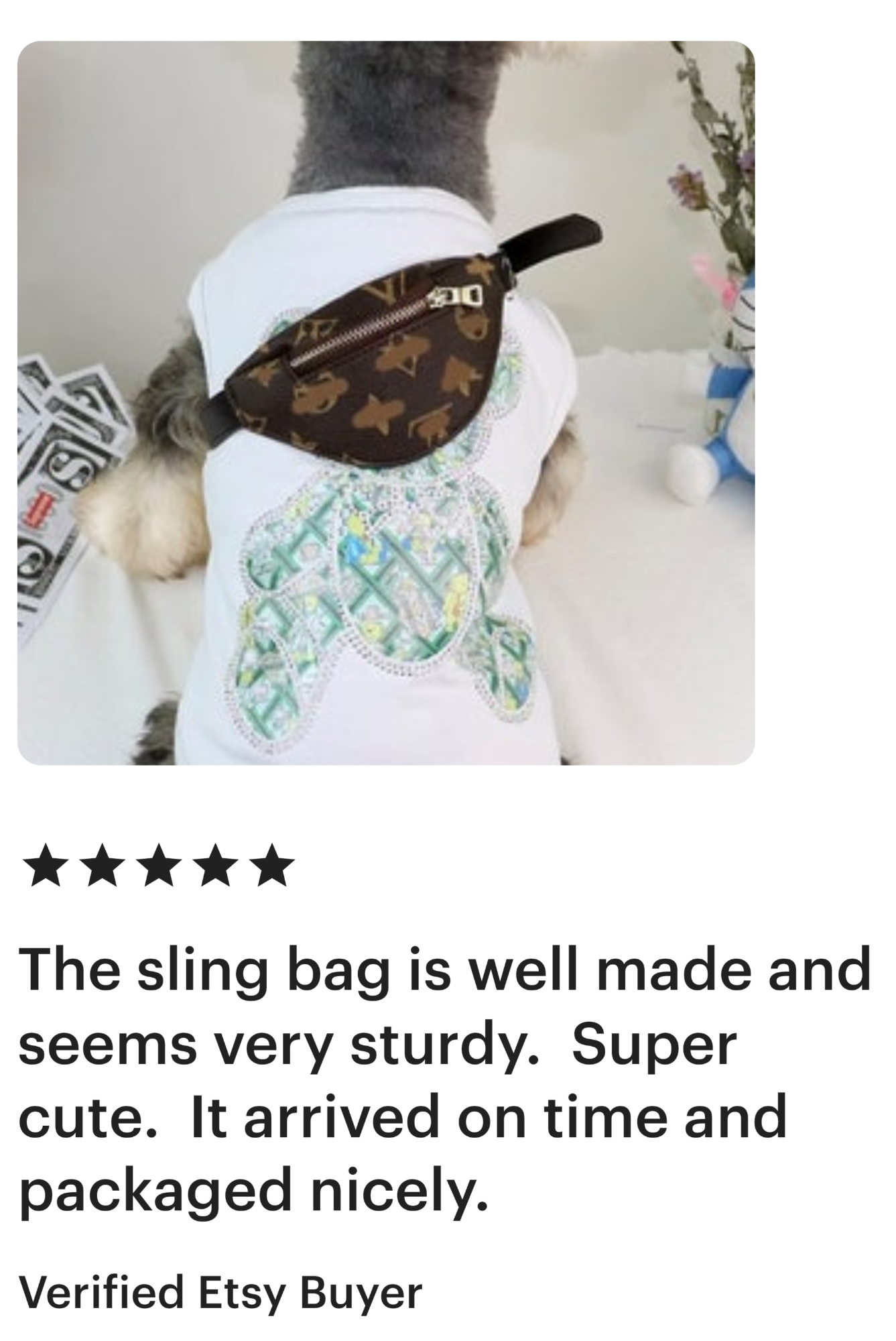 Poshable puppies Chicago boutique review