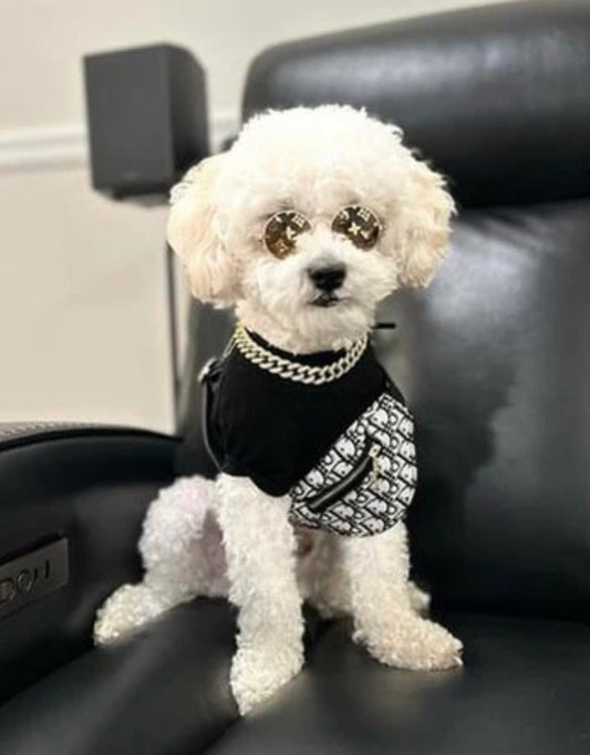 Small dog designer Dogior Bumbag