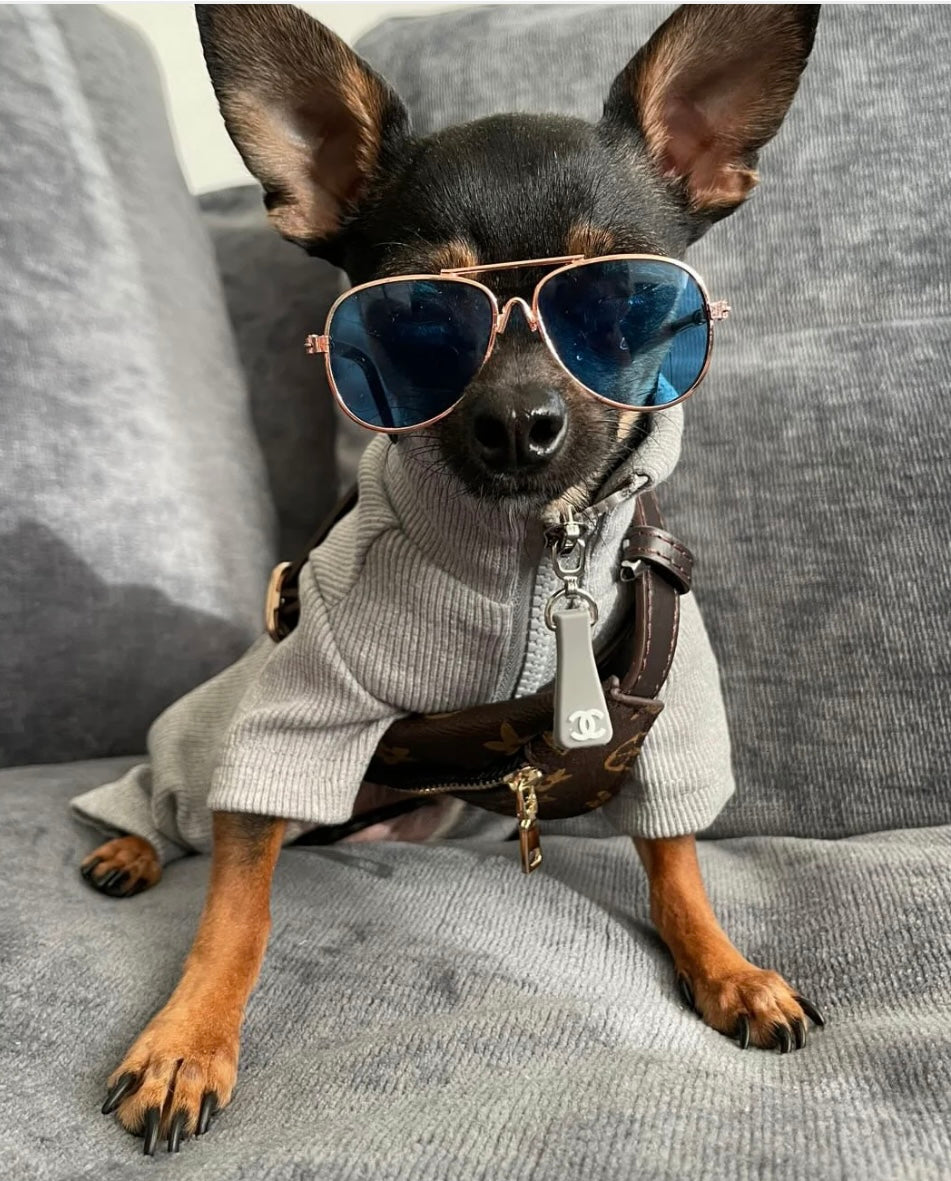 Small dog designer chewy vuiton Bumbag