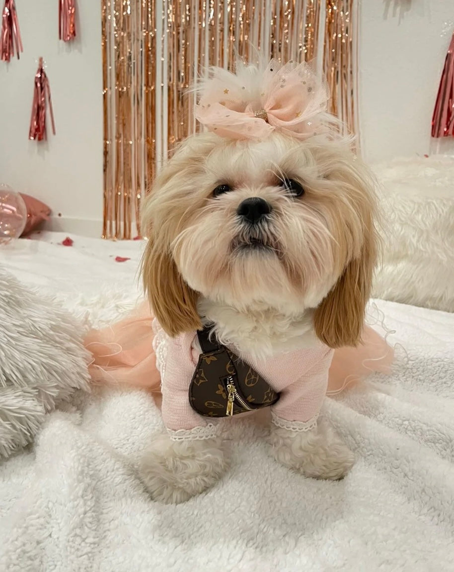 Small dog designer chewy vuiton Bumbag