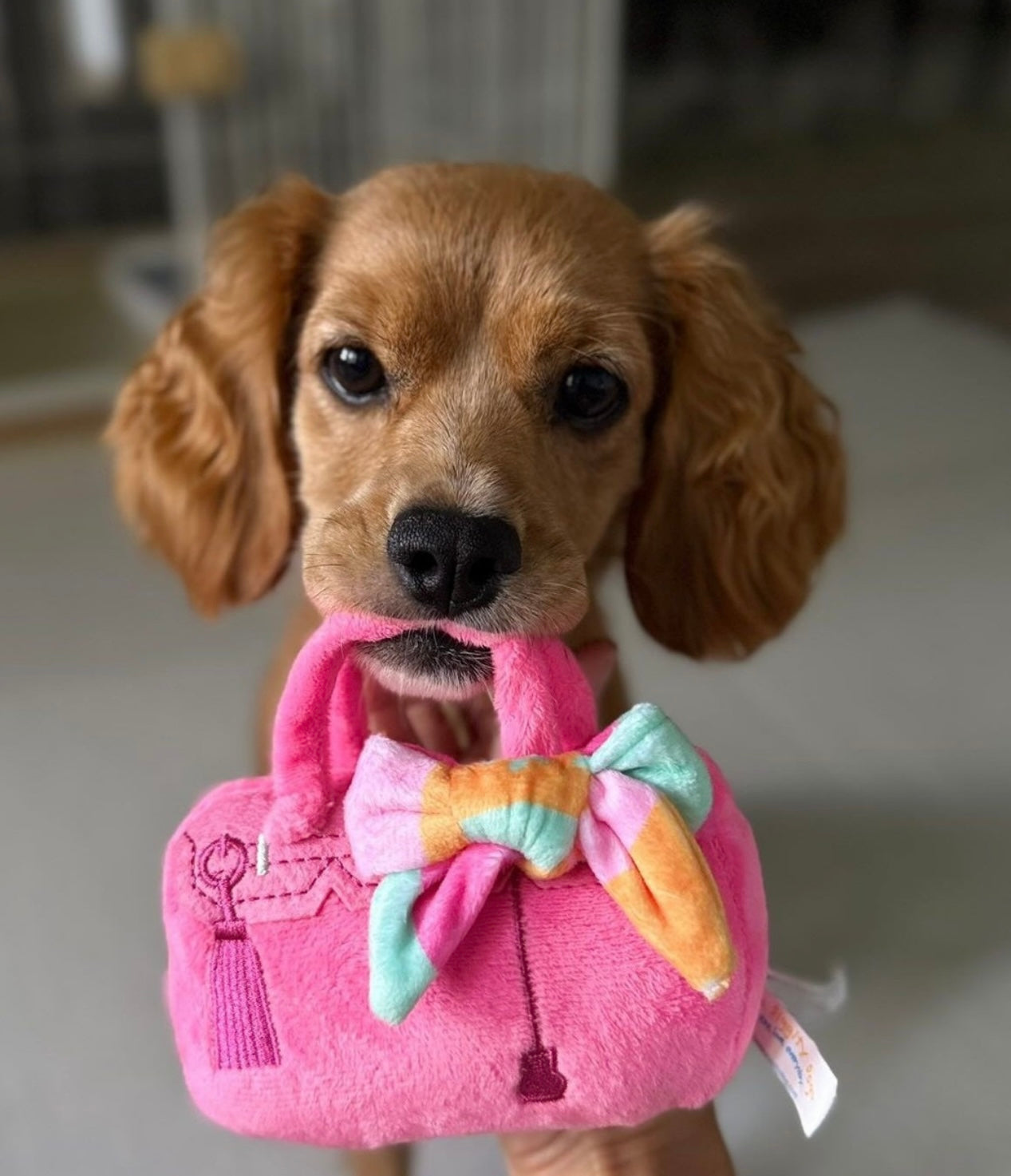 barkin bag designer dog squeaker purse