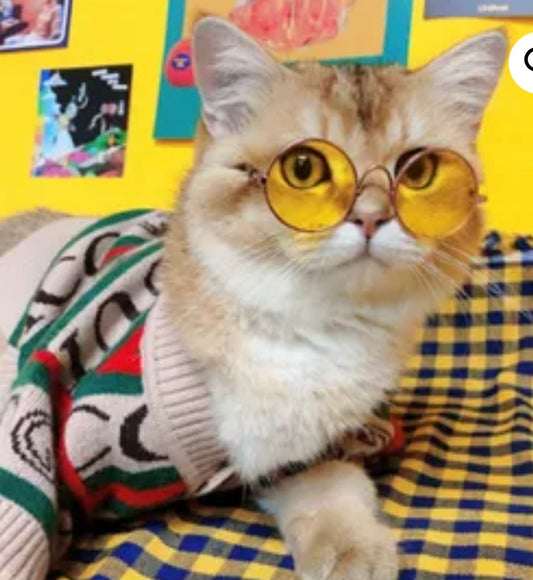 Grrruci dog apparel dog