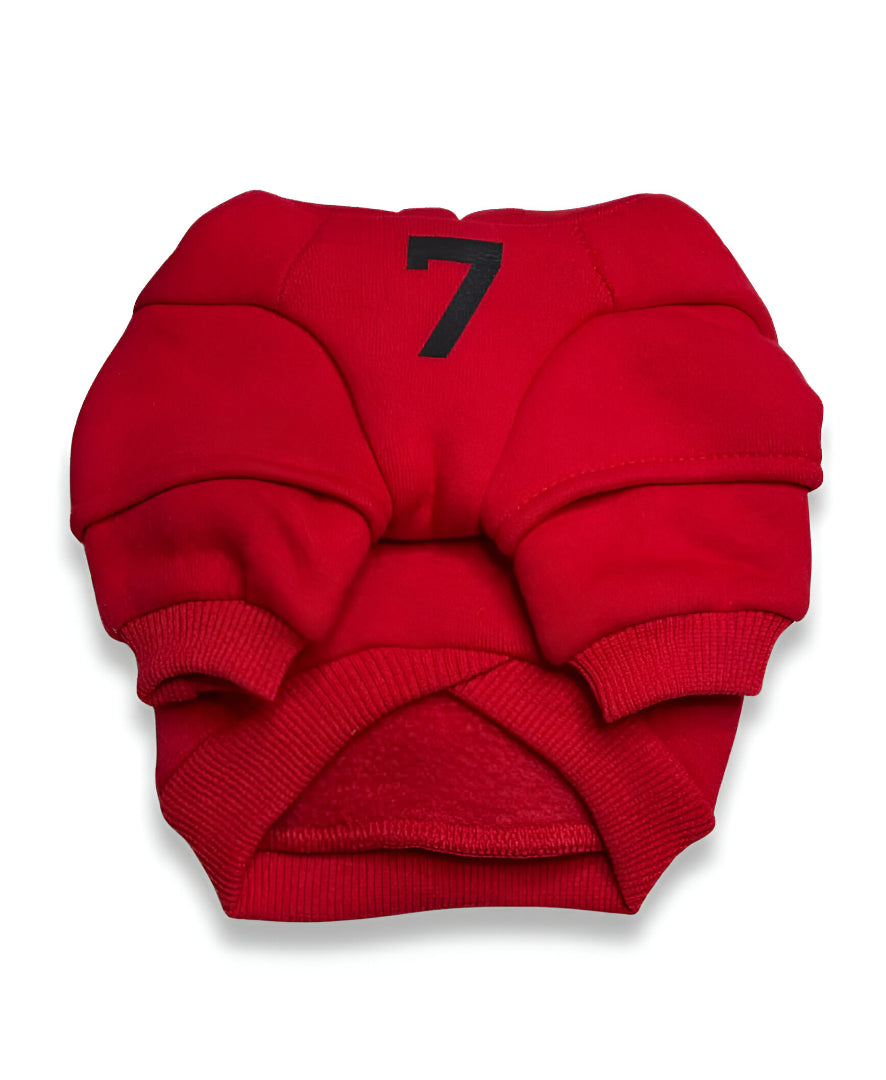 Dog red hoodie