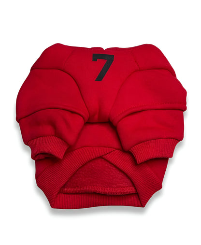 Dog red hoodie
