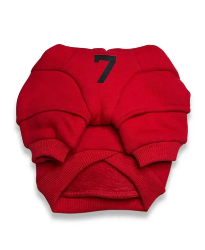 Back view of red Essentials dog hoodie featuring 'Fearless of Dog' logo on the back. Perfect hoodie for stylish pets.